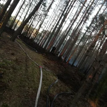 Pożar lasu w Małej Wsi