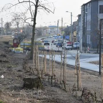 Rewitalizacja parku przy ul. Sierakowskiego na ukończeniu