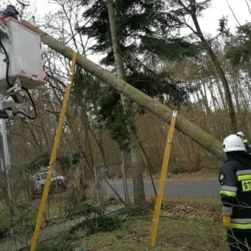 7 interwencji straży pożarnej z powodu silnego wiatru