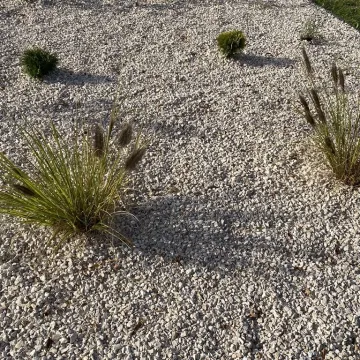 Okrajszów ma swój ekologiczny skwerek. Wielkie otwarcie z piknikiem