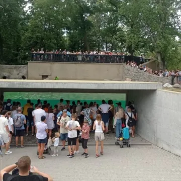 Młodzież z partnerskiego Wozniesieńska pożegnała Radomsko