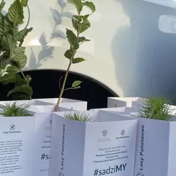 Poseł Anna Milczanowska rozdawała sadzonki z autografem pary prezydenckiej