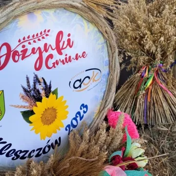 Kleszczowskie dożynki. Na scenie Universe, Wac Toja oraz Cleo