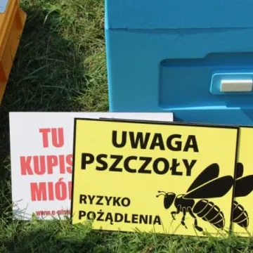 Radomszczańscy pszczelarze świętowali 