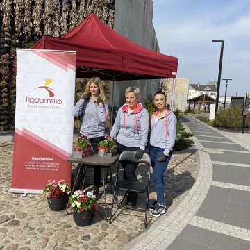 Zielone Radomsko. Darmowe sadzonki dla mieszkańców