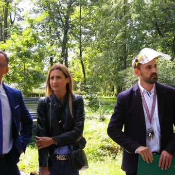 Radny Rączkowski: drzewa w Parku Świętojańskim zagrażają życiu mieszkańców