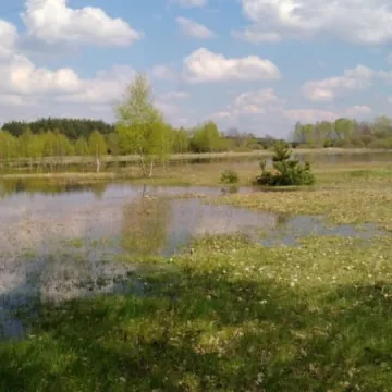 Podtopienia na Topiszu, Bobrach i Szczepocicach 