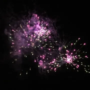 WOŚP 2017: Koncert finałowy w MDK