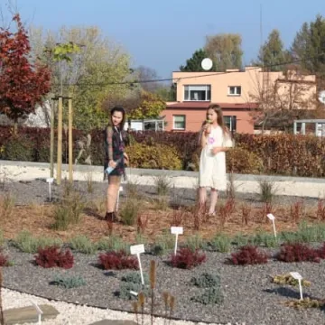 Ekopracownia pod chmurką w PSP nr 9 w Radomsku już działa