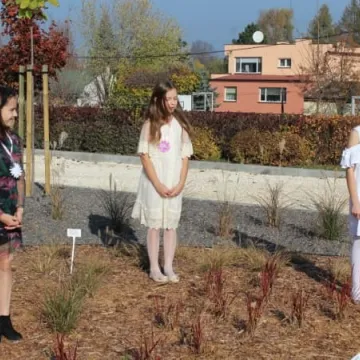 Ekopracownia pod chmurką w PSP nr 9 w Radomsku już działa