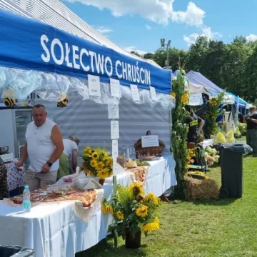 Słodka zabawa z miodem w Gomunicach