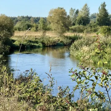 Wielkie sprzątanie w Przedborzu. Pilica odzyskała blask