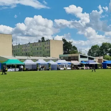 Słodka zabawa z miodem w Gomunicach