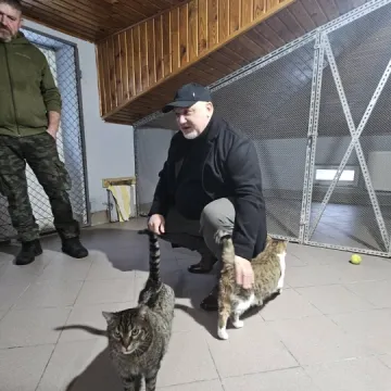 Radni KO skontrolowali schronisko w Radomsku. „To ludzie z misją”