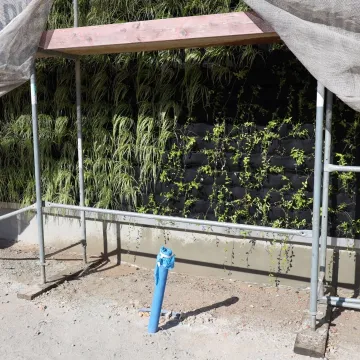 W Radomsku powstaje ogród wertykalny