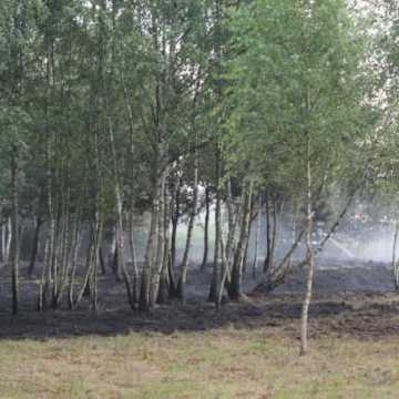 Pożar łąk na Dąbrówce 