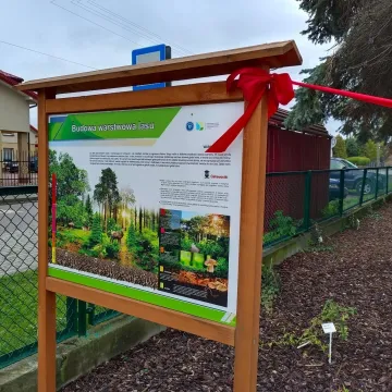 W PSP 8 w Radomsku utworzono „Leśne Obserwatorium”