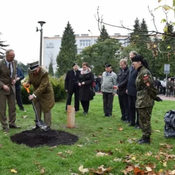 Dąb Pamięci dla „Warszyca”