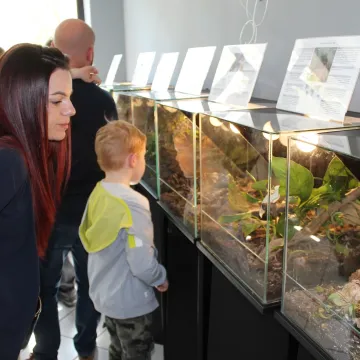 Pająki i skorpiony w MDK w Radomsku