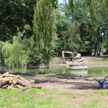 Postęp prac rewaloryzacyjnych w parku Świętojańskim [zdjęcia i film]