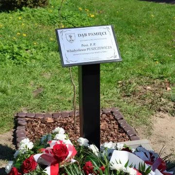 W ZSP nr 1 w Radomsku odsłonięto Dąb Pamięci