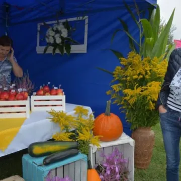 V Powiatowy Dzień Organizacji Pozarządowych