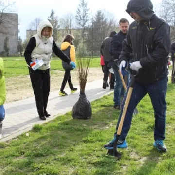 Samorządowcy z Platformy Dialogu sadzili drzewa