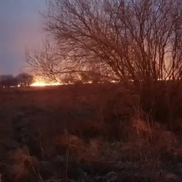 Spłonęło 15 hektarów traw