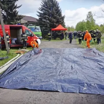 Ćwiczenia na wypadek ptasiej grypy