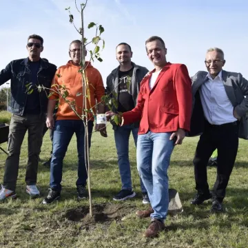 Chillowanie pod Gwiazdami na Gliniankach