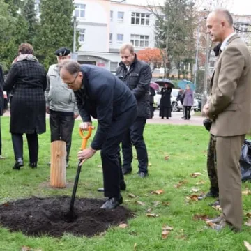 Dąb Pamięci dla „Warszyca”