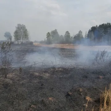 Pożar w gminie Przedbórz. Spłonęła trawa i węże