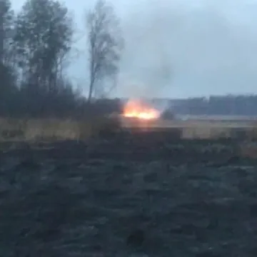 Pożary poszycia leśnego