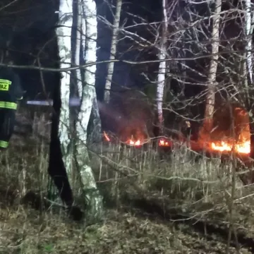 Trzy wyjazdy jednego dnia strażaków z Wielgomłyn do pożarów suchych traw