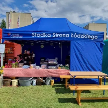 Słodka zabawa z miodem w Gomunicach