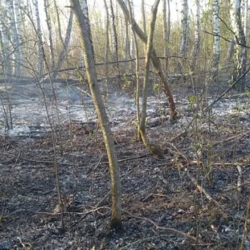 Bogusławów - pożar lasu i traw