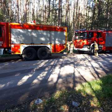 Strażacy z powiatu radomszczańskiego ćwiczyli w Ruszczynie