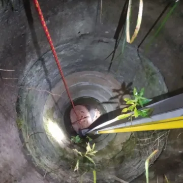 Strażacy uratowali psa i lisa uwięzionych w studni