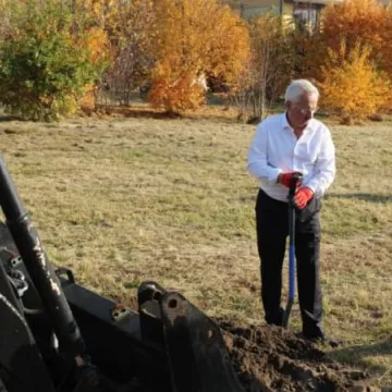 Sto drzew na stulecie