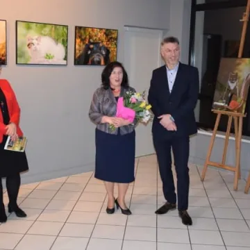 Cztery łapy w obiektywie 