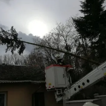 7 interwencji straży pożarnej z powodu silnego wiatru