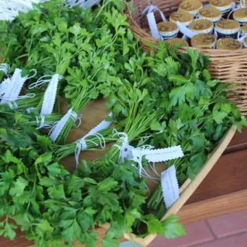 Ekopracownia pod chmurką w PSP nr 9 w Radomsku już działa