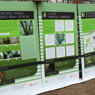 Rewaloryzacja parku Świętojańskiego zakończona