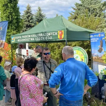 Tak było na Dniach Otwartych Funduszy Europejskich w Radomsku