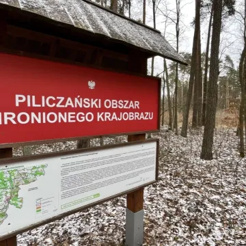 Fotograficy na plenerze