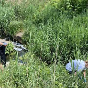 Wolontariusze po raz drugi sprzątali rzekę Radomkę