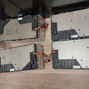 Braterski duet w rękach policji