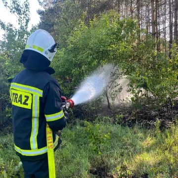 Lasy płoną. W tym roku było już 21 pożarów