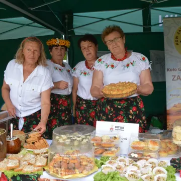 Bitwa Regionów w Strzałkowie