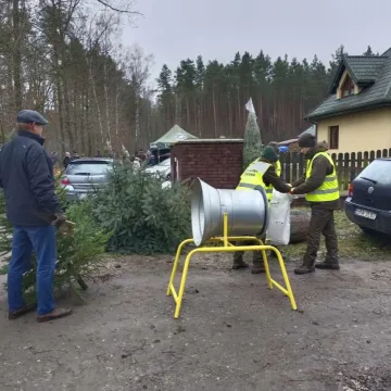 Wielkie „Choinkobranie” w Radomsku